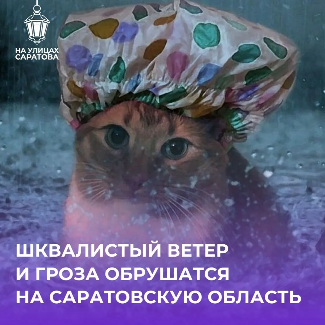 ⚡️ГРОЗА И ШКВАЛИСТЫЙ ВЕТЕР надвигаются на Саратовскую область