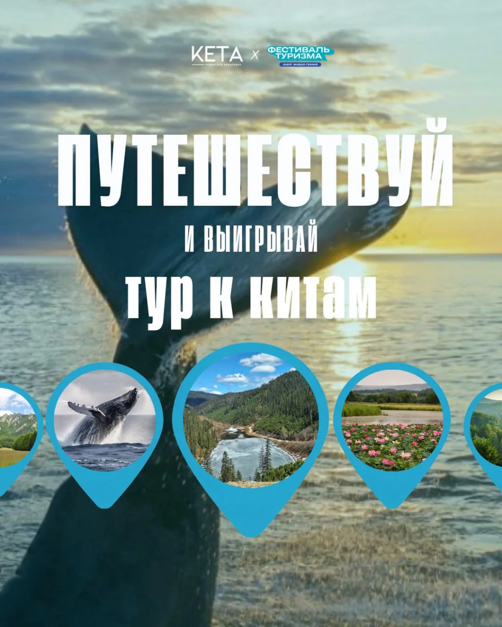 🐋 Хотите отправиться к китам бесплатно?