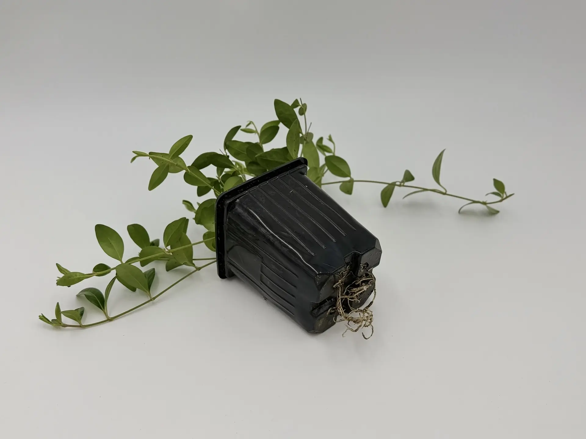 Мы тут случайно устроили выставку… сами для себя 😄🌿