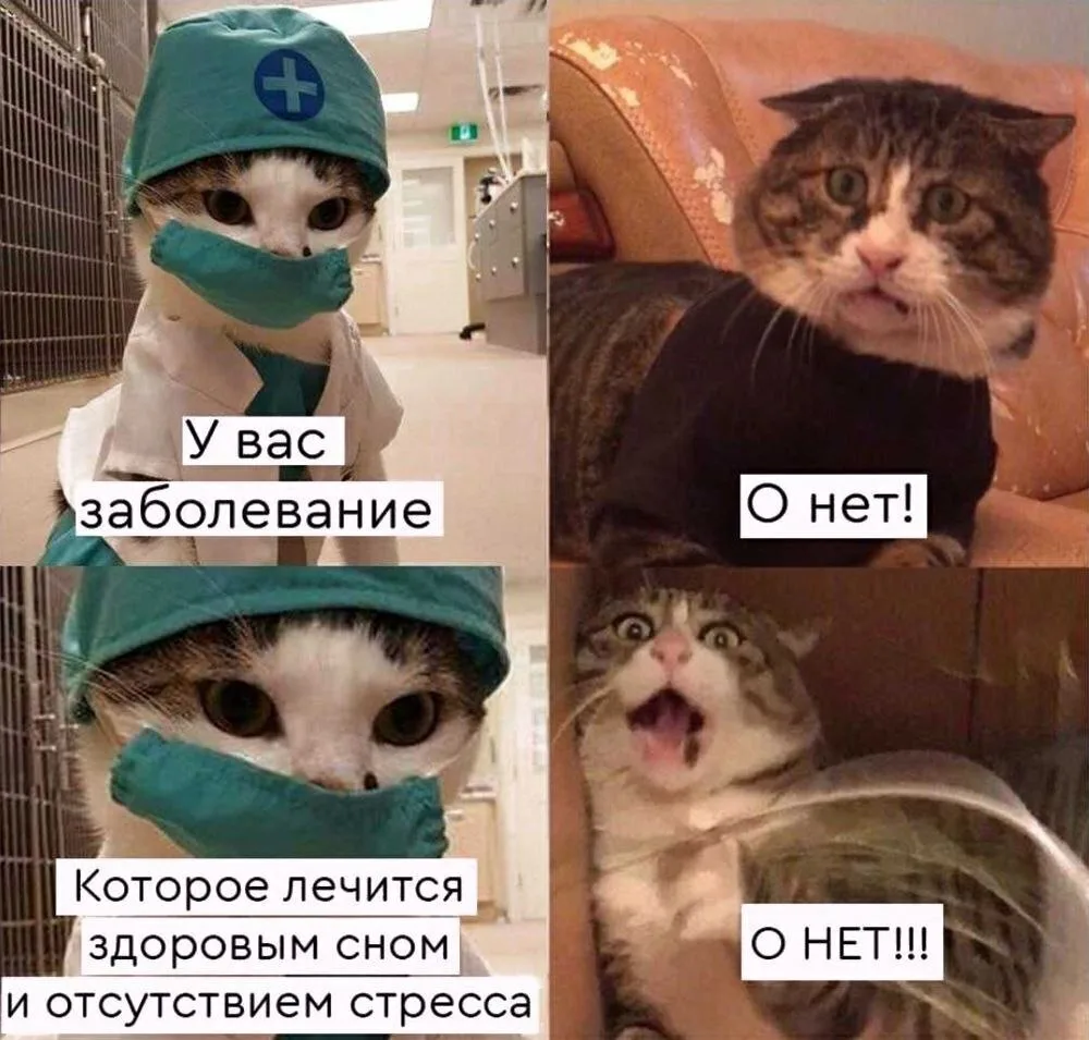 Кто?