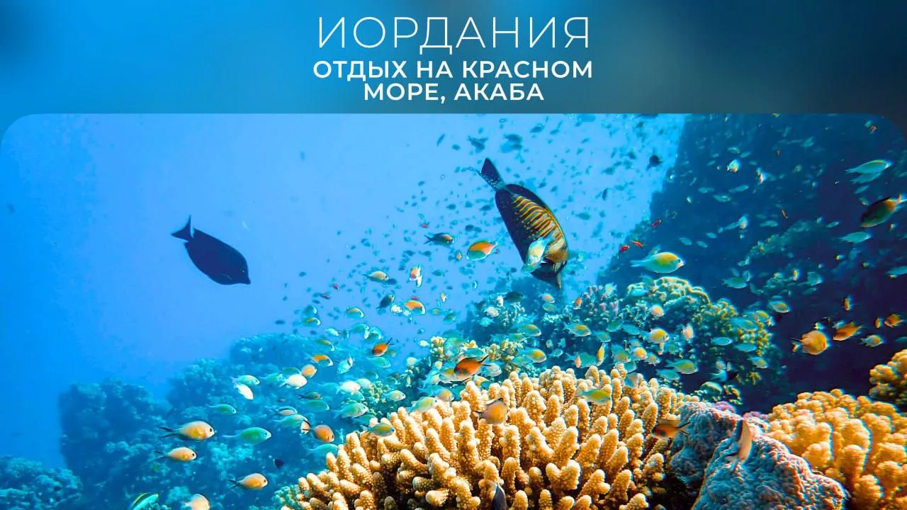 🌊 Акаба — Красное море, кораллы и восточная атмосфера