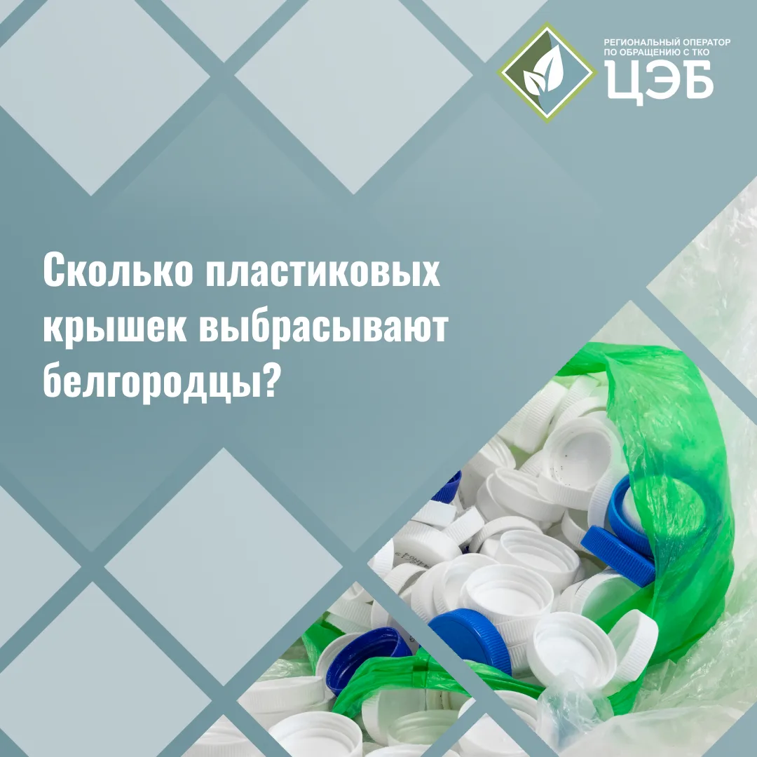 ♻️ Сколько пластиковых крышек выбрасывают белгородцы?