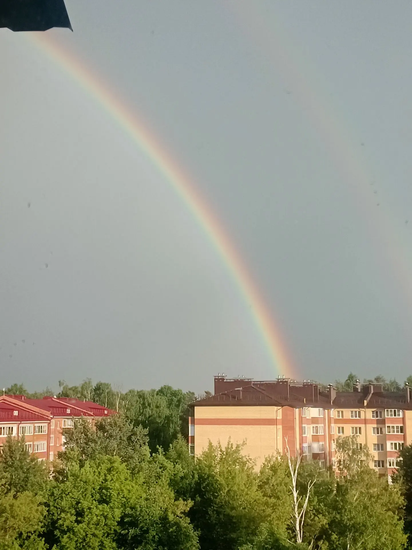 Наш #июнь 🌿☀️