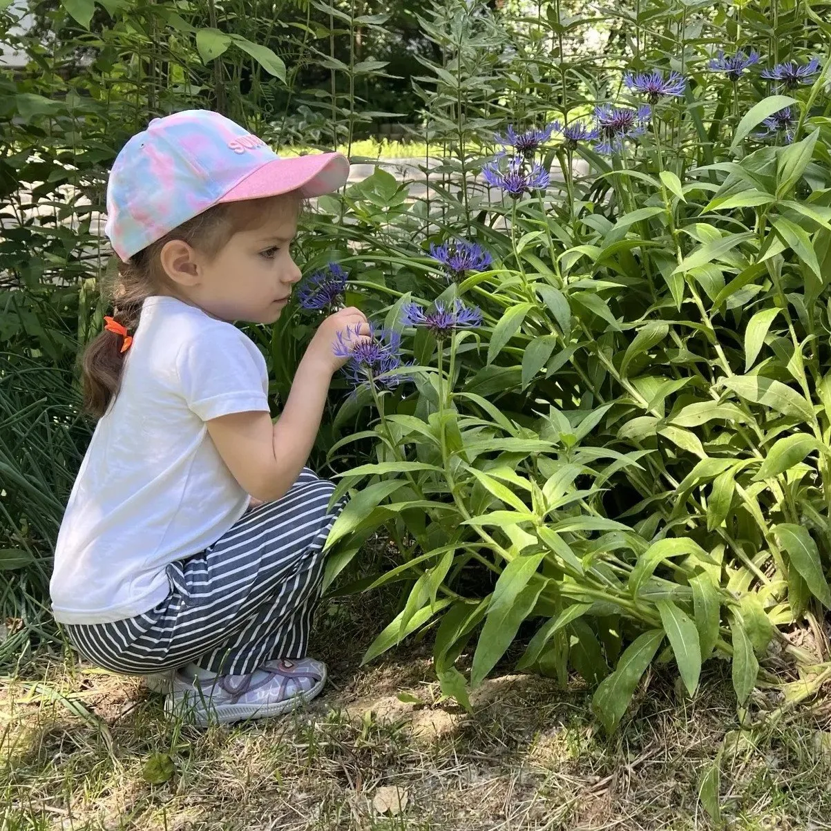 ПОЛЕЗНЫЕ ЦВЕТЫ

🌻 В самом начале лета, когда природа расцветает... в группе «Забавушка» прошла «Нед