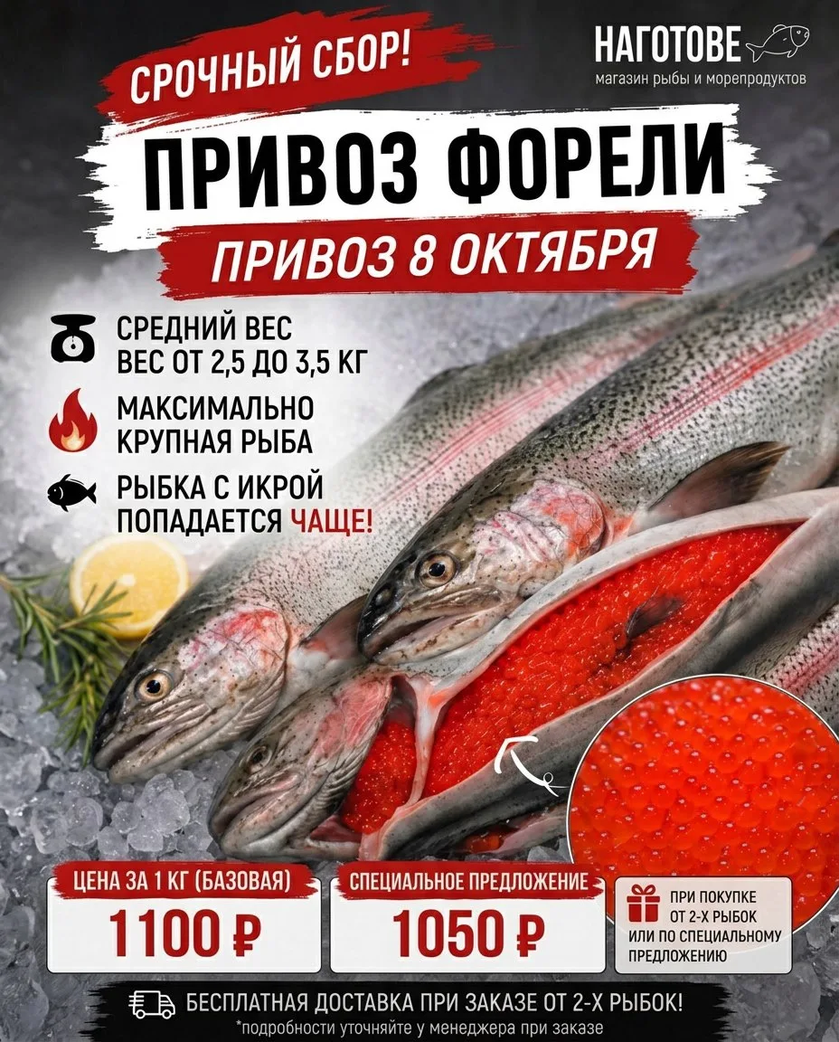 СРОЧНЫЙ СБОР!