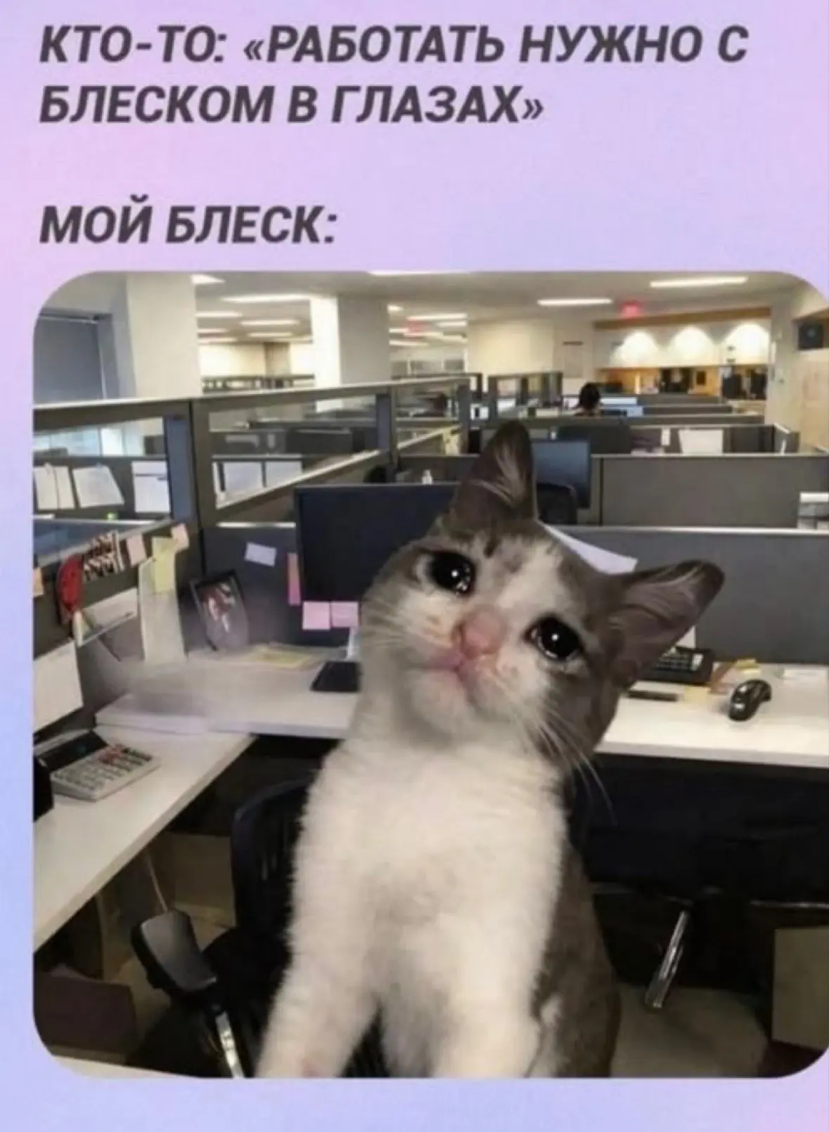 Сегодня весь день