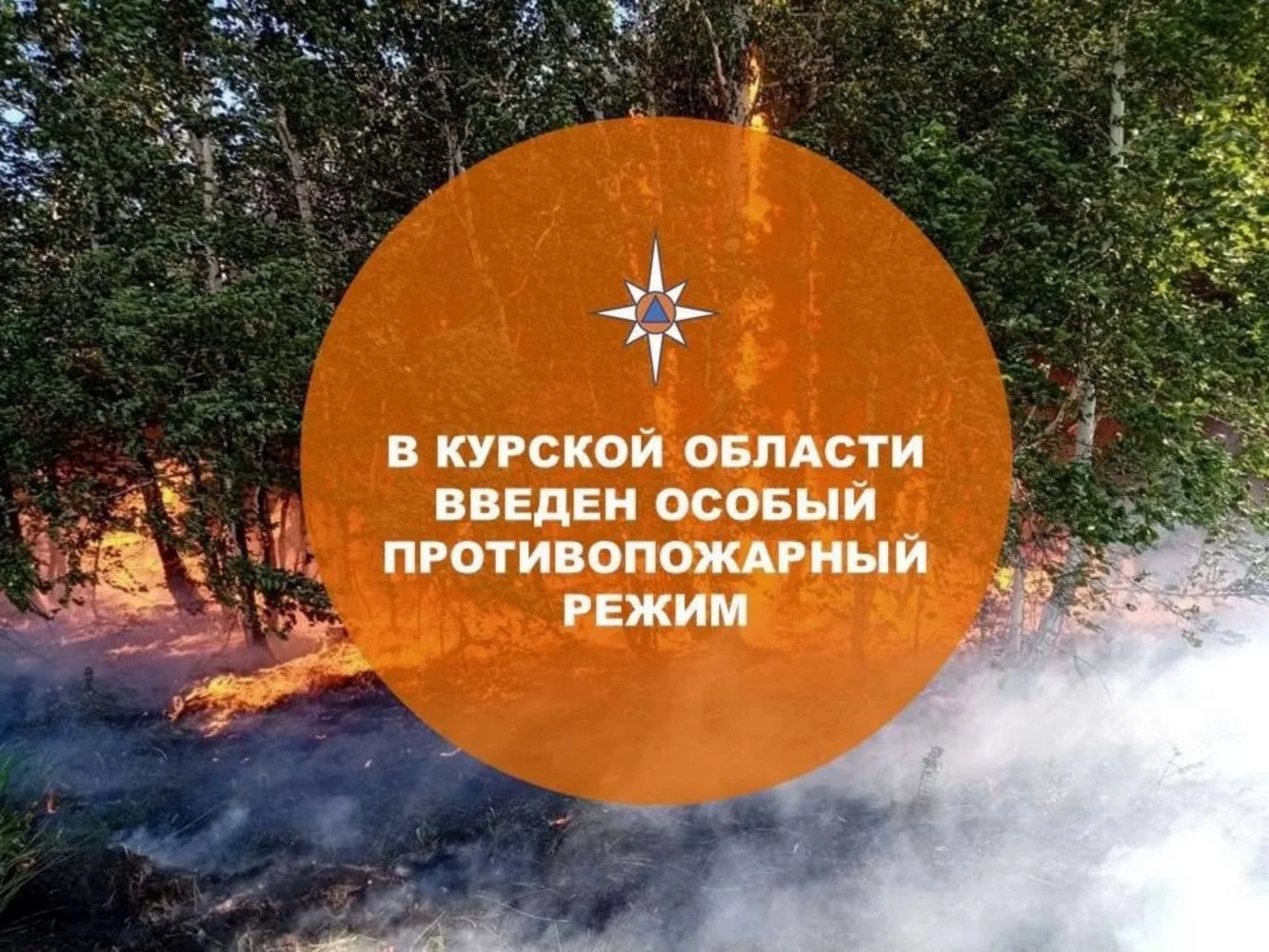 В Курской области установлен особый противопожарный режим.  Согласно документу, вводитс...