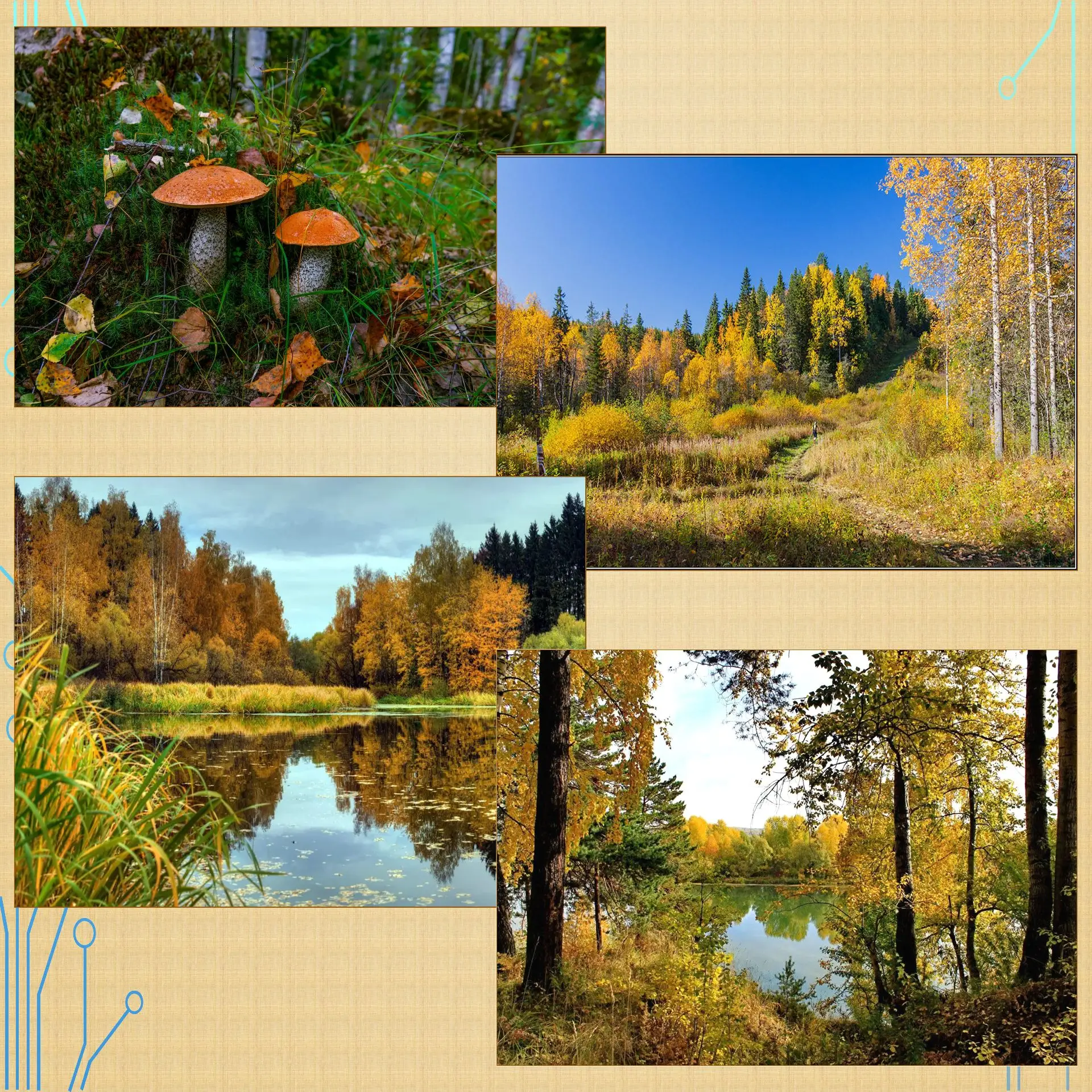 🍁Вот и пришел месяц Сентябрь...