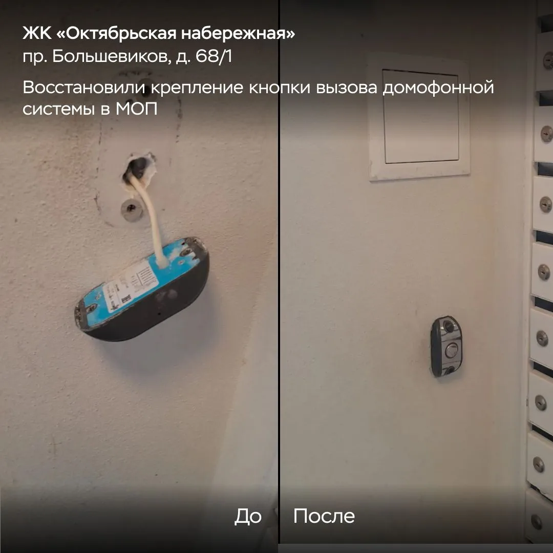 Еженедельный отчёт. Часть 2. 📸