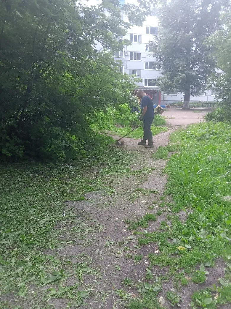 🌱👍Покос травы и уборка по адресам:
📍ул. Ульяновск 32, Ладожская 67, Ладожская 57
