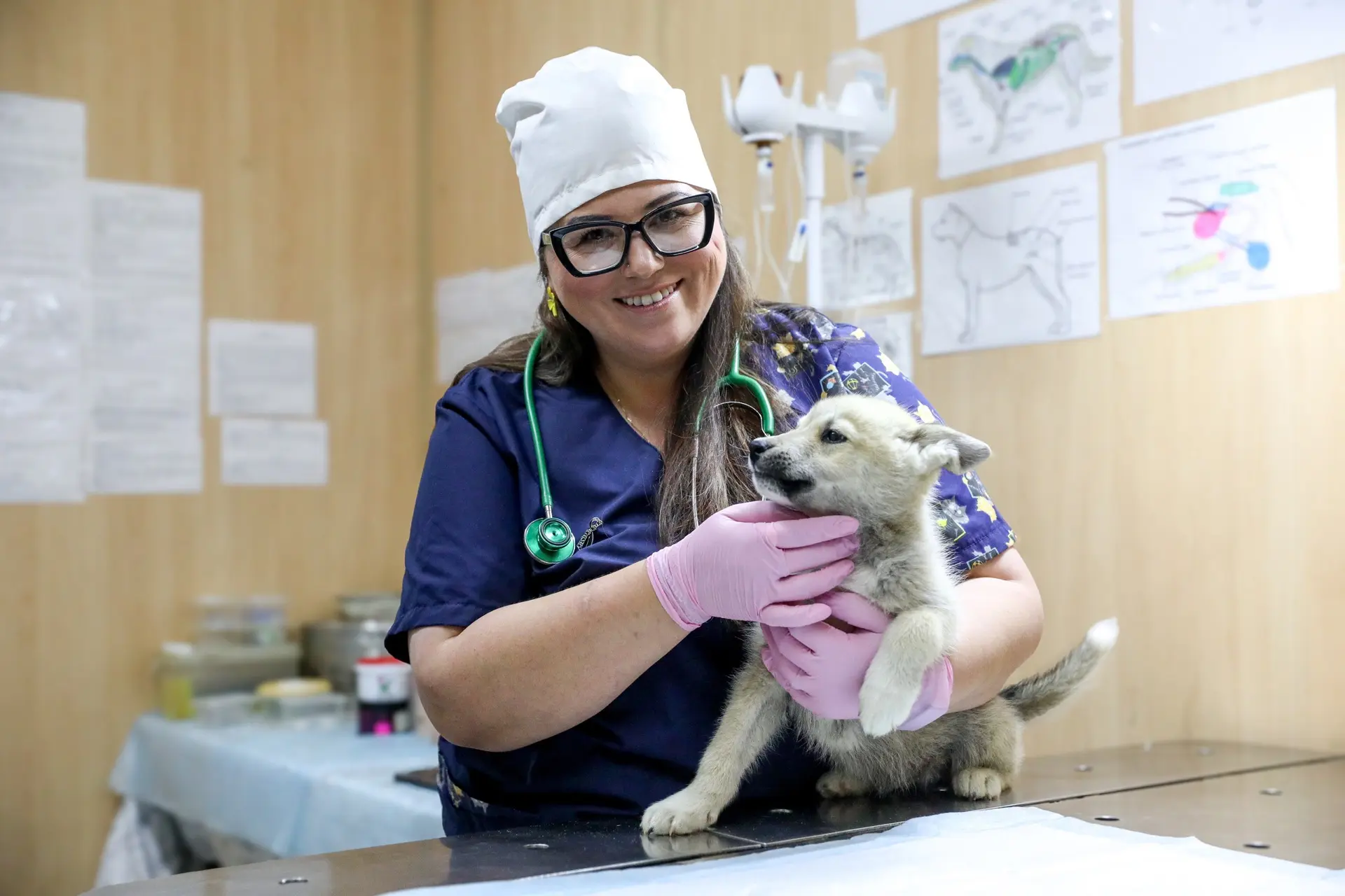 🐾 Уважаемые работники и ветераны ветеринарной службы Ненецкого автономного округа, поз...