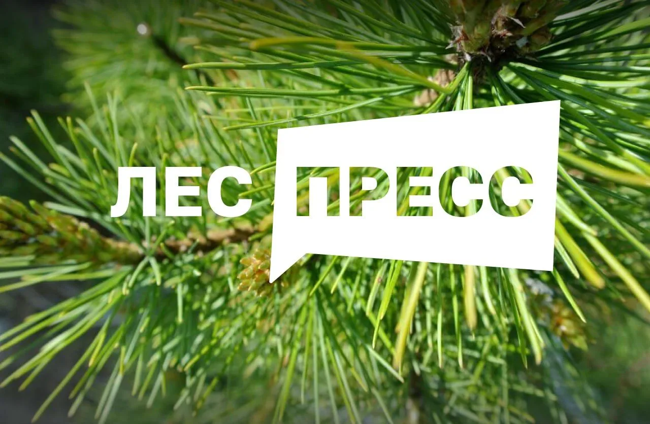 Журналистам и блогерам Приморья 📝
 
Рослесхоз объявил о старте приёма заявок на IV Всероссийский ко