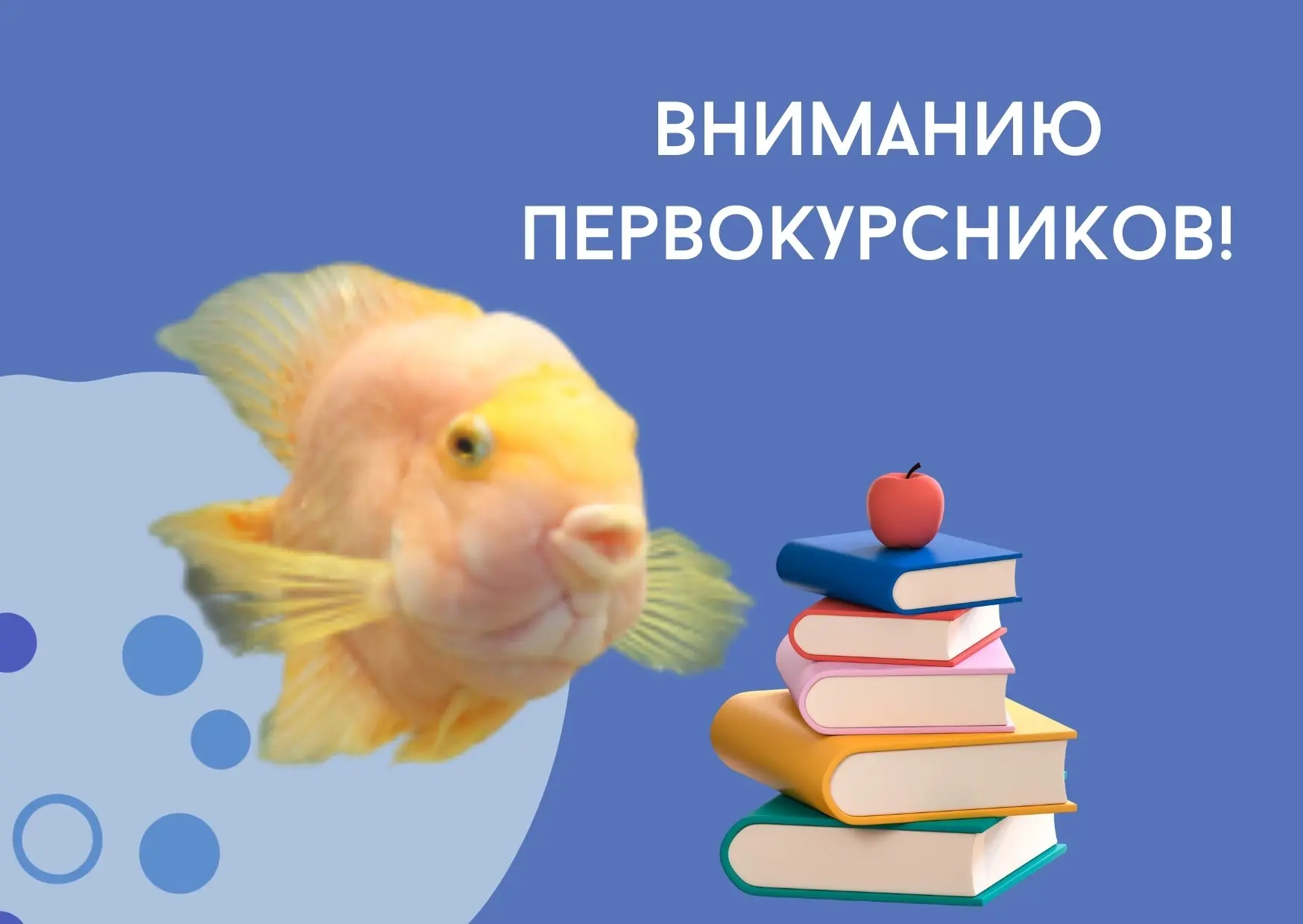 ‼️Дорогие первокурсники, внимание!