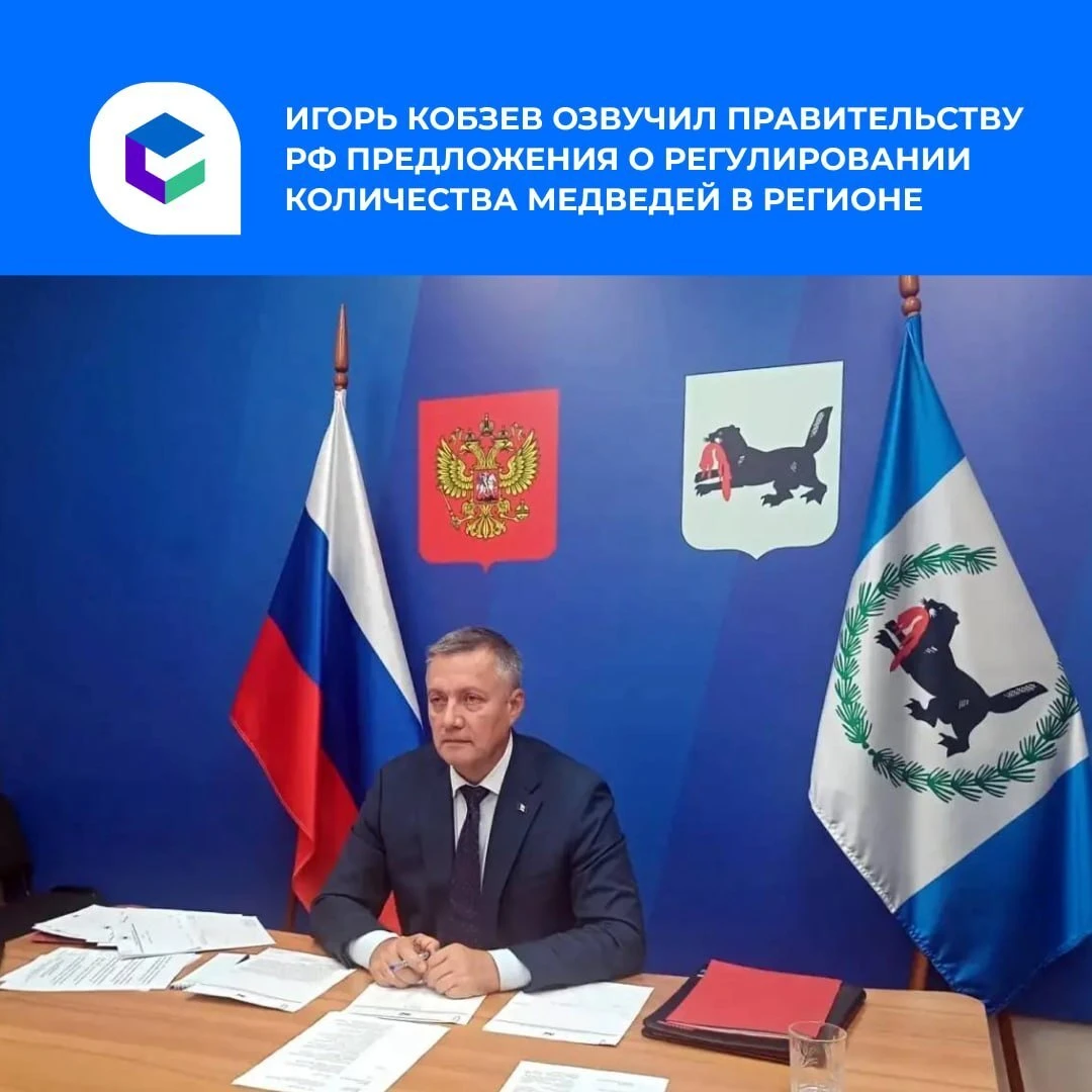 Губернатор Иркутской области Игорь Кобзев озвучил приложения по решению проблемы с медв...