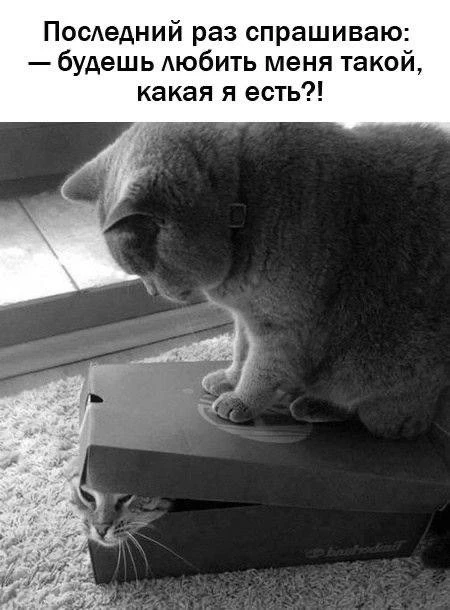 Анекдоты - Подписаться
