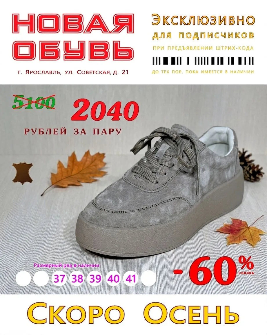 Дорогие подписчики ❗️