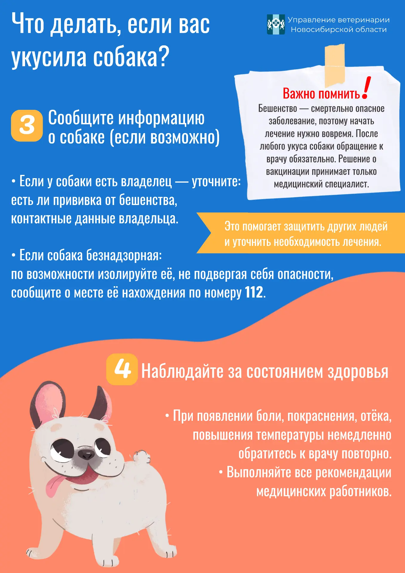 В жизни необходимо внимательно и ответственно относится не только к людям, но и к животным. Ознакомь