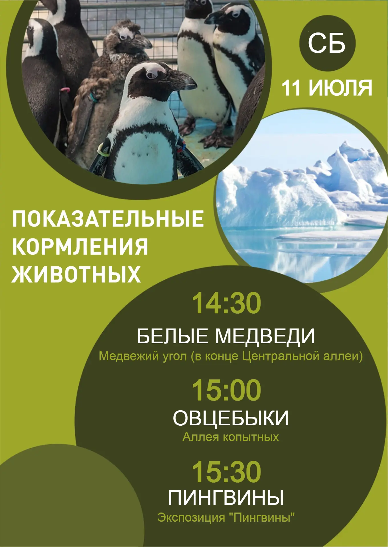 В предстоящие выходные - показательные кормления животных и
"Танцующее лето"! 
Ловите расписание