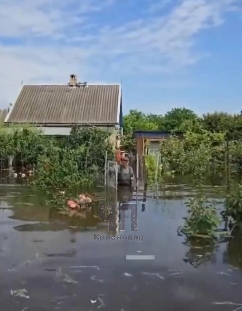 В Новороссийске ввели «веер» на подачу воды! 

Из-за подтопления Троицкого водозабора, который изряд