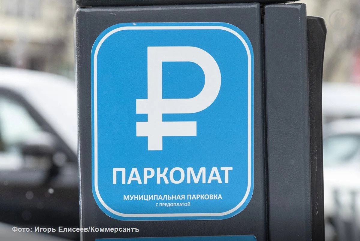 В Воронеже предложили отменить штрафы за неоплату парковки