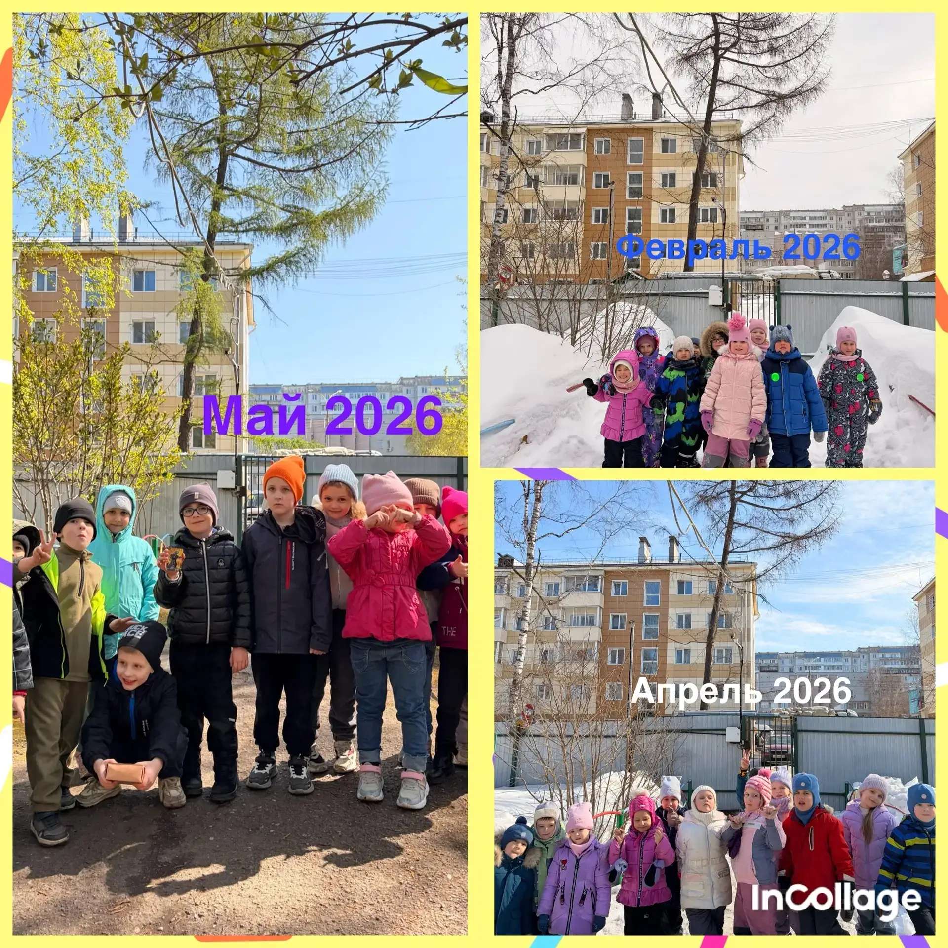 🌲 Наблюдение за лиственницей в группе «Пчелки» круглый год!
