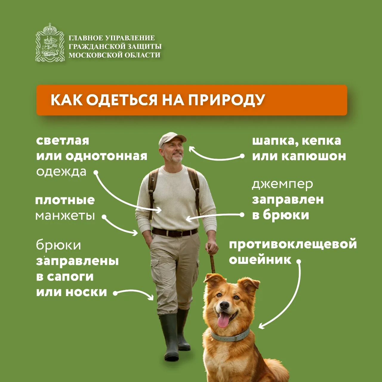 🌱 Май и июнь — пик активности клещей!  🦠 Клещи могут переносить опасные заболевания, такие как энцеф