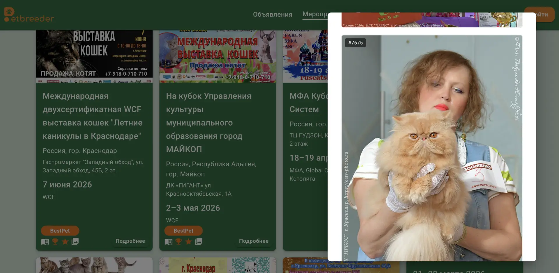 Медиа публикации