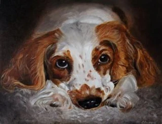 🎨 Лютчер Елена