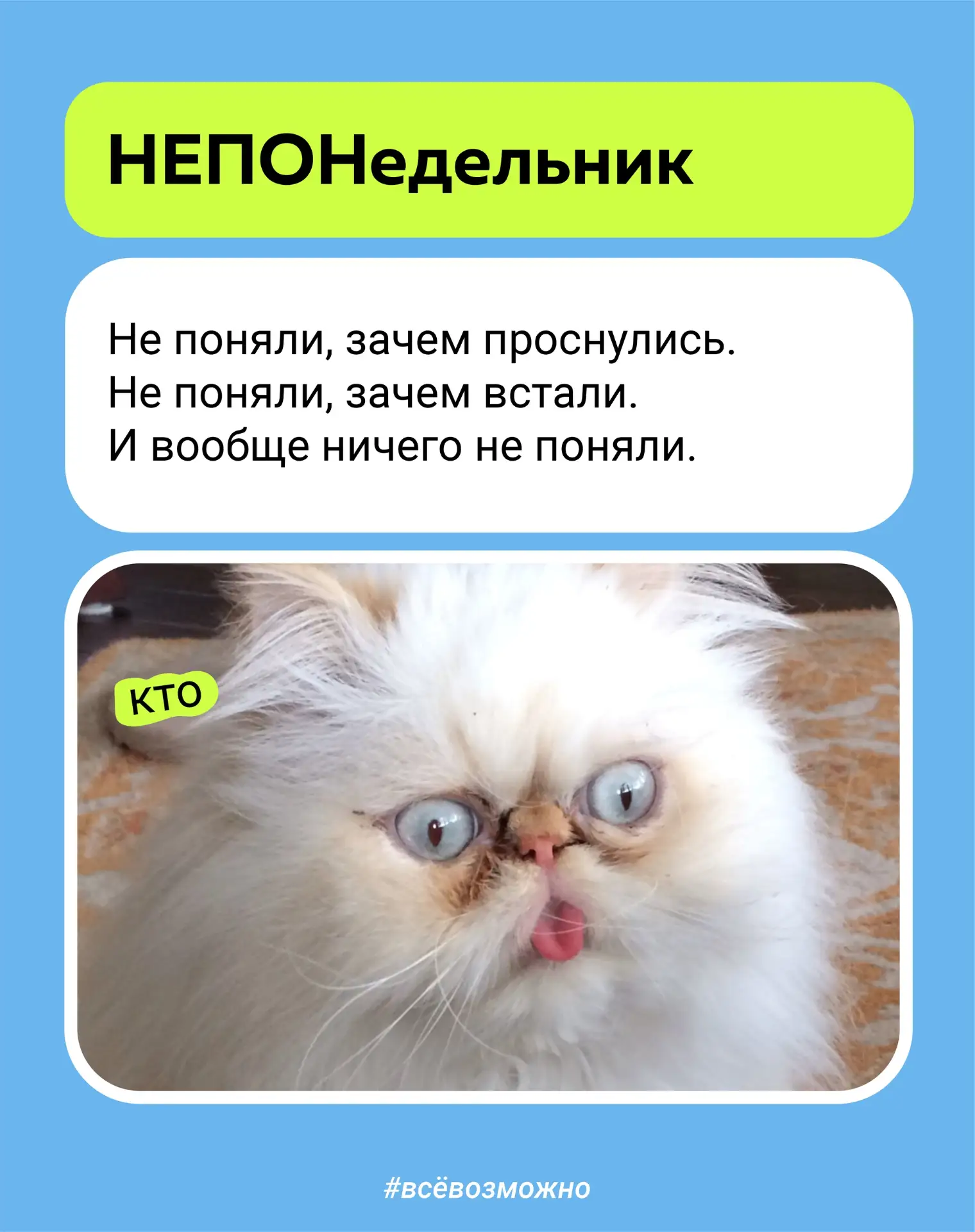 А вот и порция мемов от Молодёжи Ярославля. Что ж неделя обещает быть непростой, но зат...