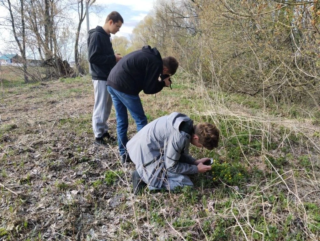 🌷Весеннее пробуждение природы!
Участники кружка «Медиацентр ВестиБияСОШ» запечатлели эти заворажива