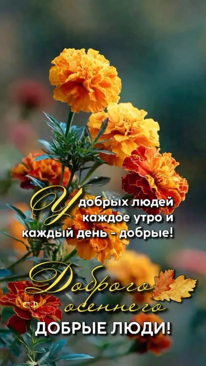Добрым людям - доброе утро