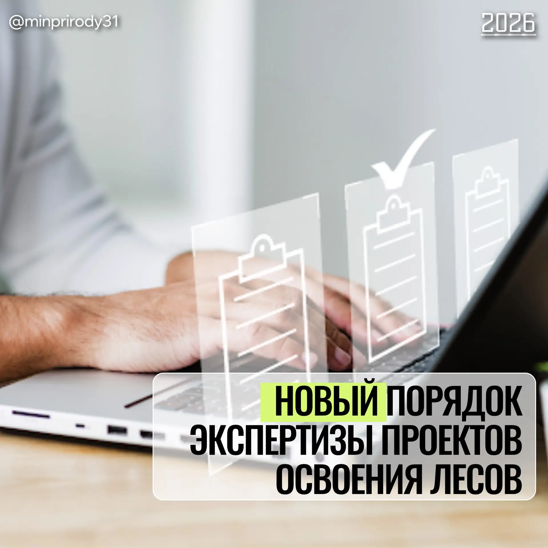 Утвержден новый порядок проведения  экспертизы проектов освоения лесов. Главное изменение — существе