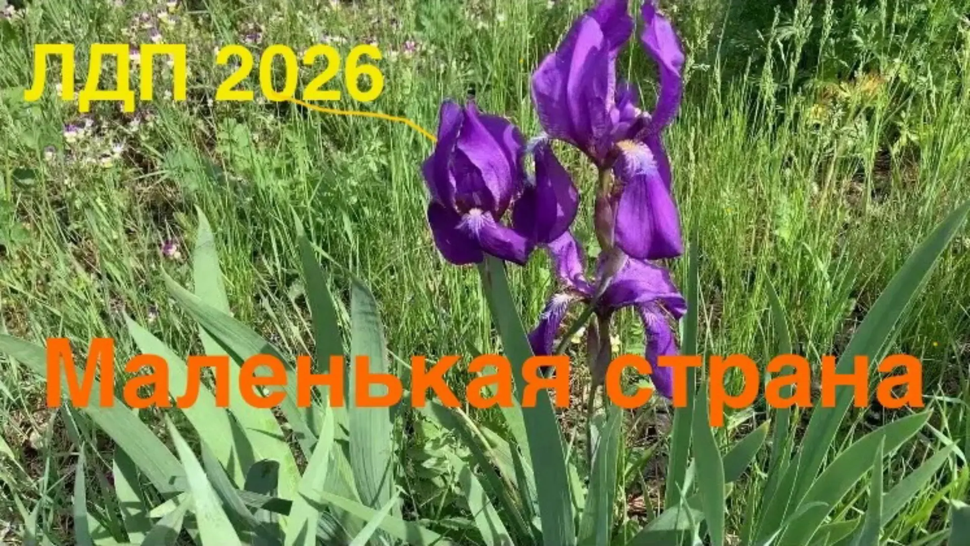 Лето в Аятской школе началось со звонкого смеха и отличного настроения! ☀️ Вчера мы дал...