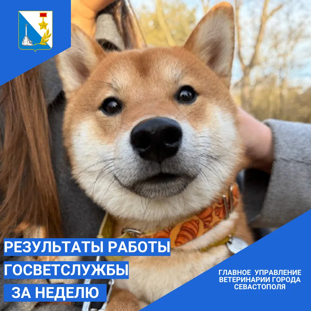 Итоги работы госветслужбы за прошедшую неделю
C 12  по 18 июня специалисты госветслужбы:
✅вакциниров