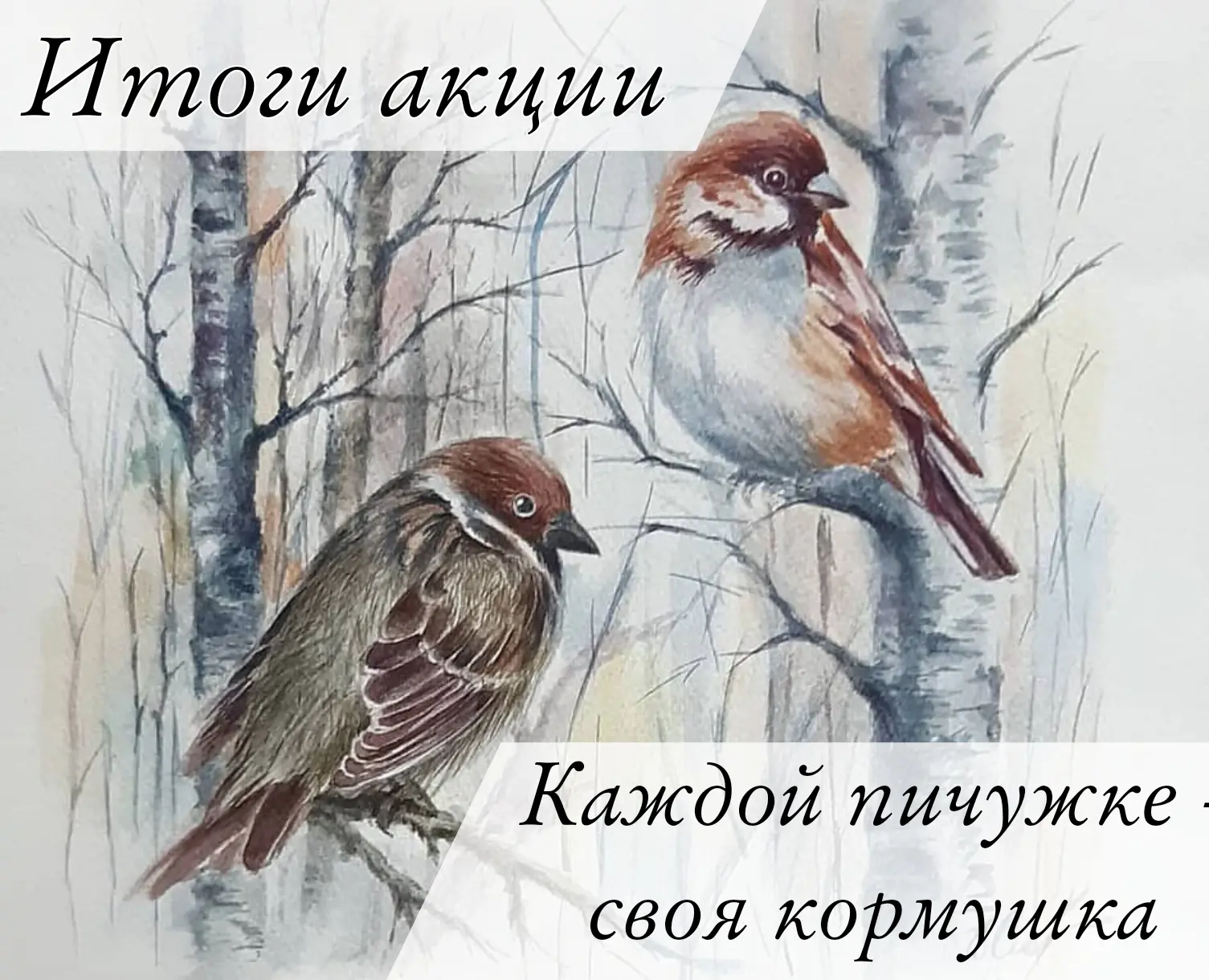 Подведены итоги муниципальной акции «Каждой пичужке - своя кормушка» 🐦  Участники проявляли заботу о
