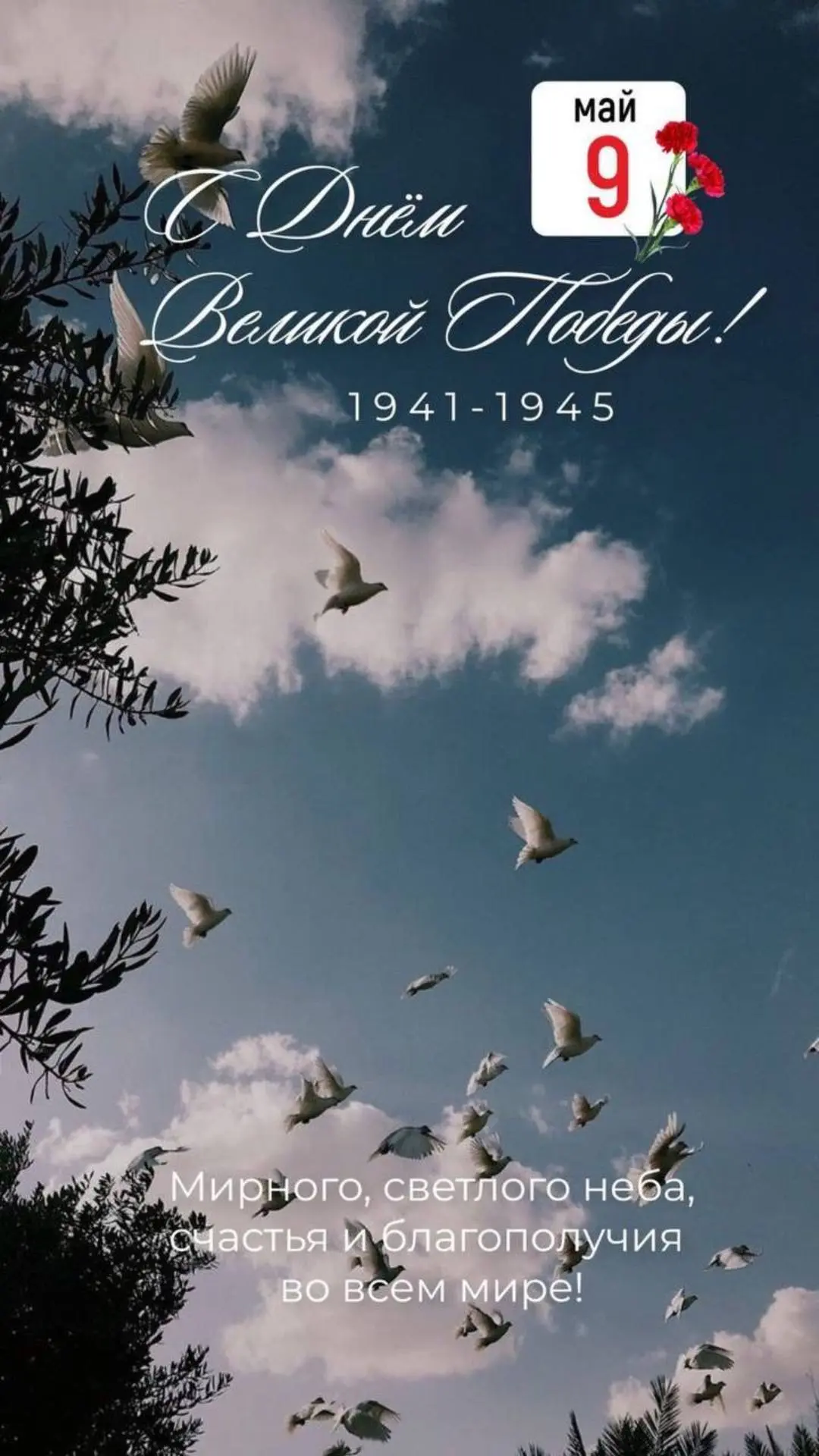 С Днём Великой Победы! Мирного неба над головой🕊️