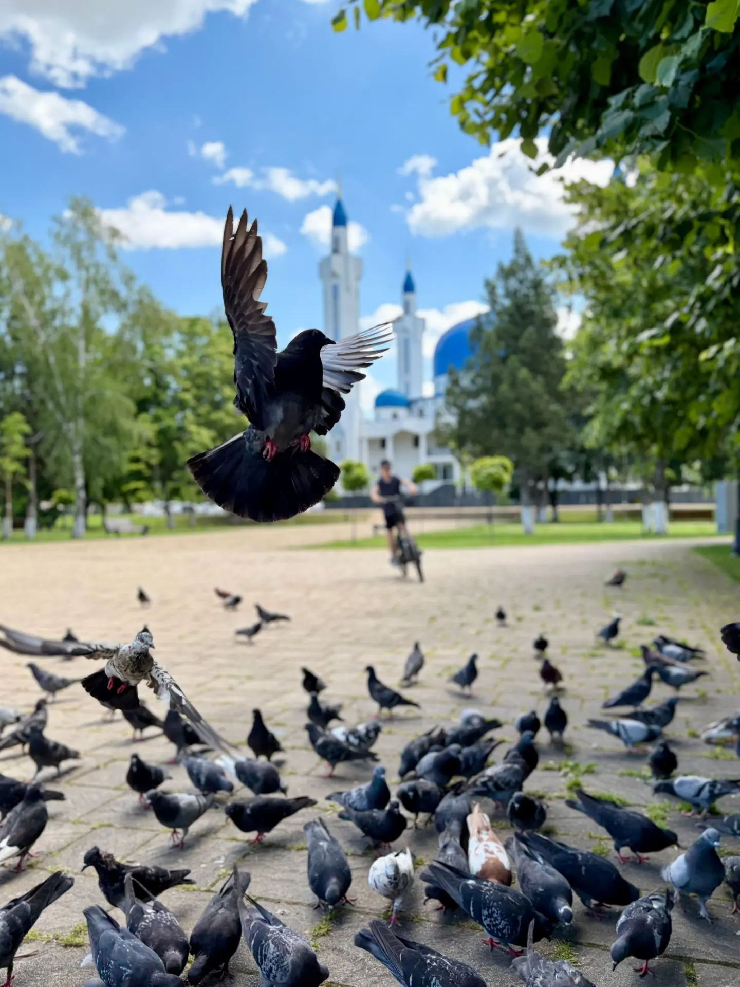 ☁️19 июня в Адыгее небольшой дождь. Температура воздуха в равнинной части +17… +25 °С. Ветер 0 - 3 м