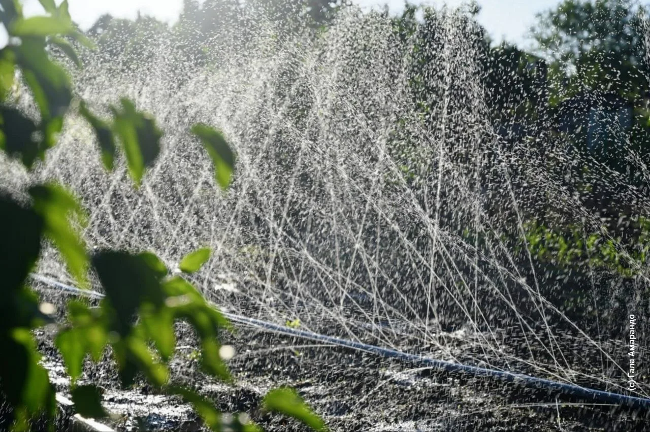 💦 Огородный вайб

📍 с. Родниково, Симферопольский район

————————————————————
Наши каналы в отечес