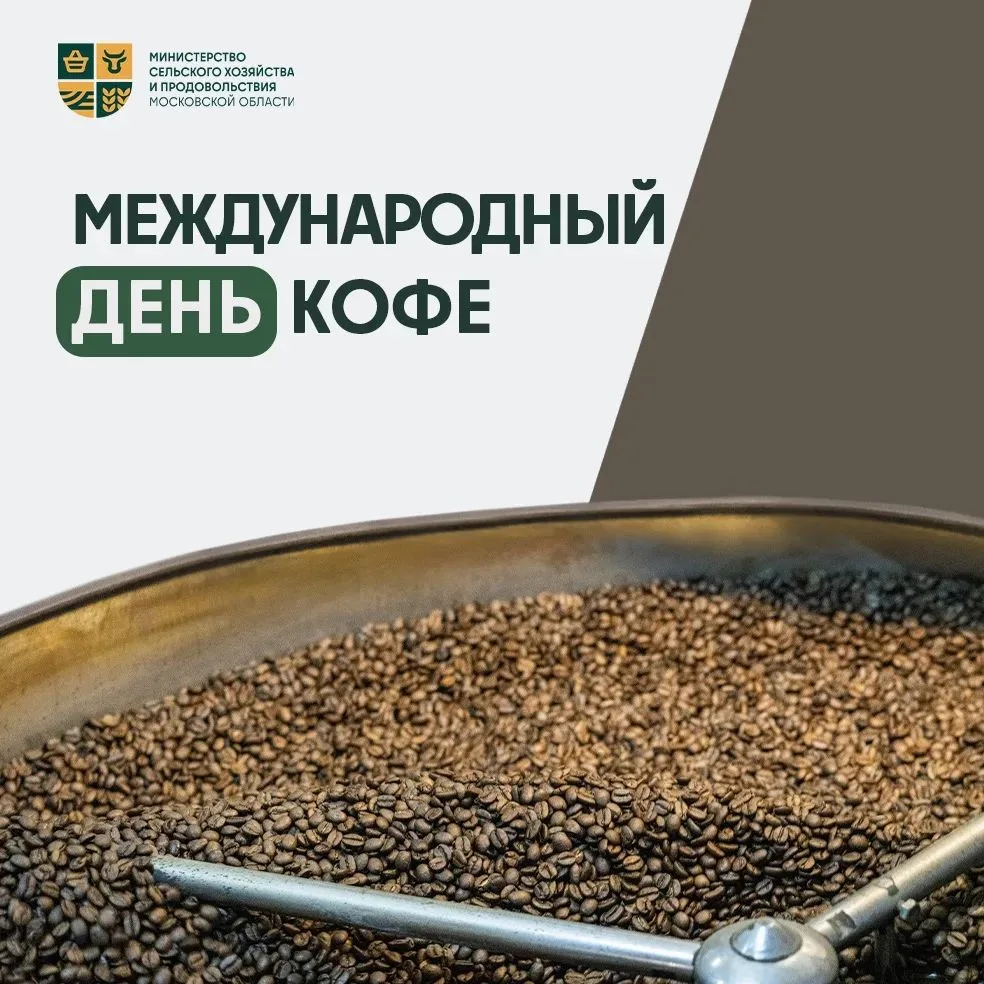 ☕️ Угадайте, где в России производят больше всего кофе?