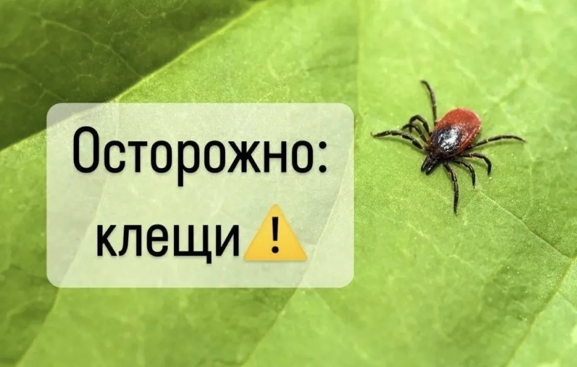 Хищники вышли на охоту 🚨