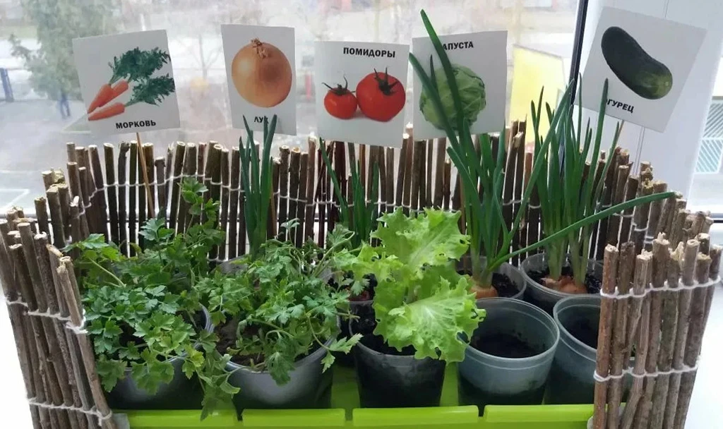 Зелёный уголок дома: просто и красиво 🌿
