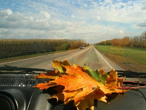 🍂1️⃣ ОКТЯБРЯ
