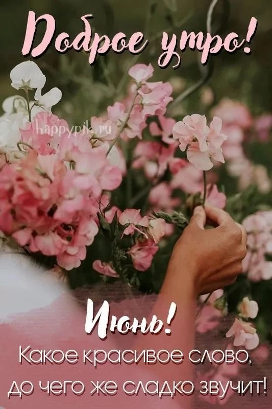 🌼Прикольные открытки
