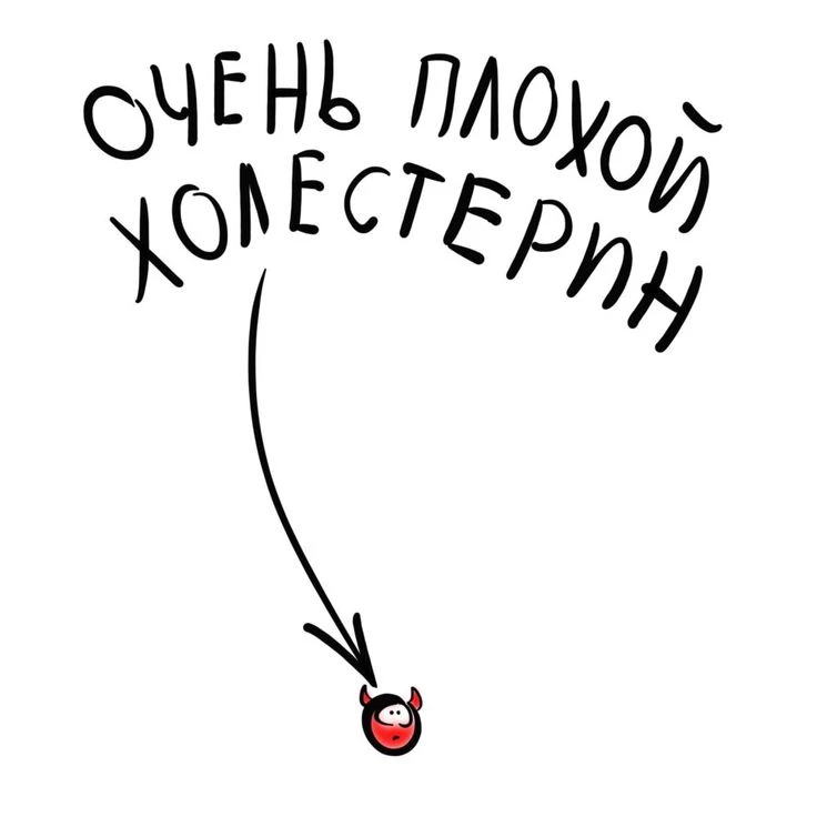 #Статины и #микробиом: как бактерии влияют на эффективность терапии