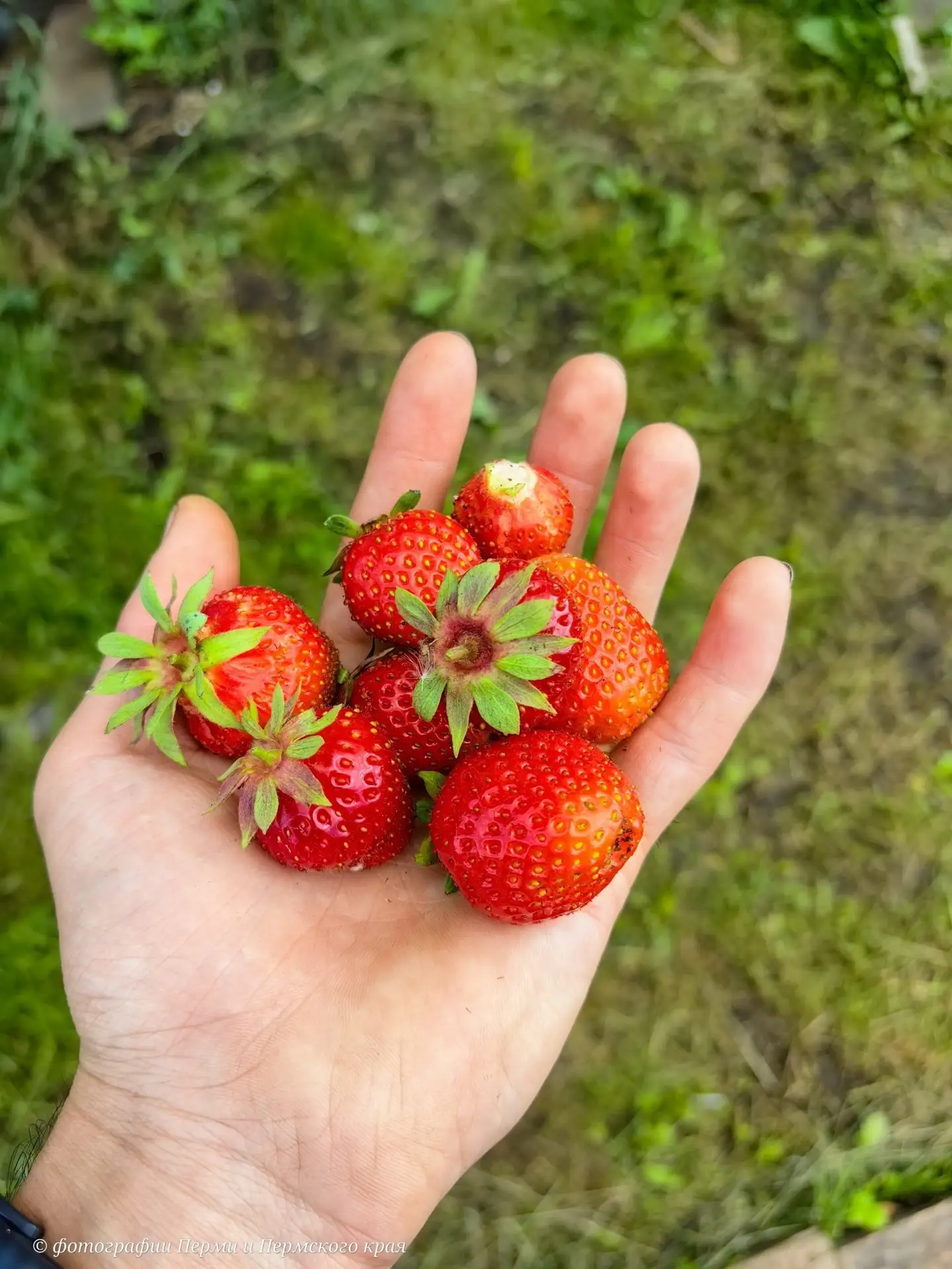 Фотография со вкусом лета🍓😋

👉 Подписаться на канал