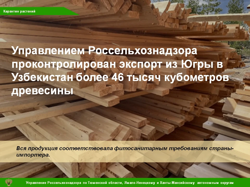 🌲 С начала 2026 года из Ханты-Мансийского автономного округа-Югре экспортирована в Республику Узбек