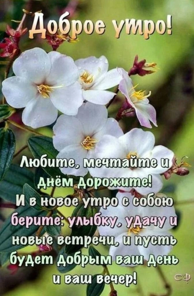 Открытки и поздравления💕
