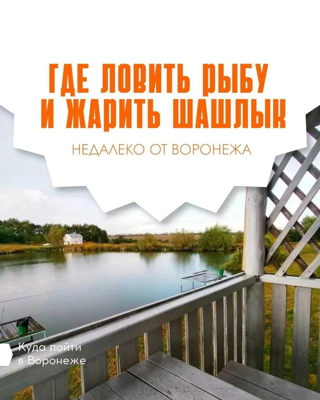 🎣 Отдых, где сосны шепчут, а вода зеркалит небо