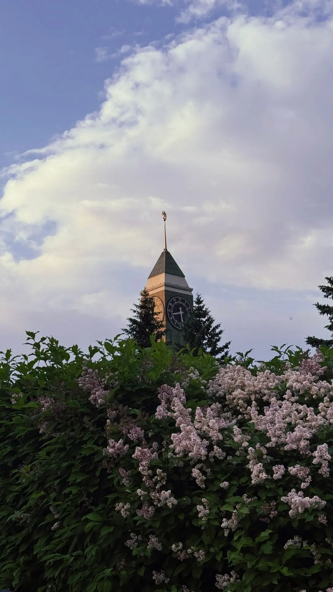 🌤 Добрый летний вечер

#вритмелета