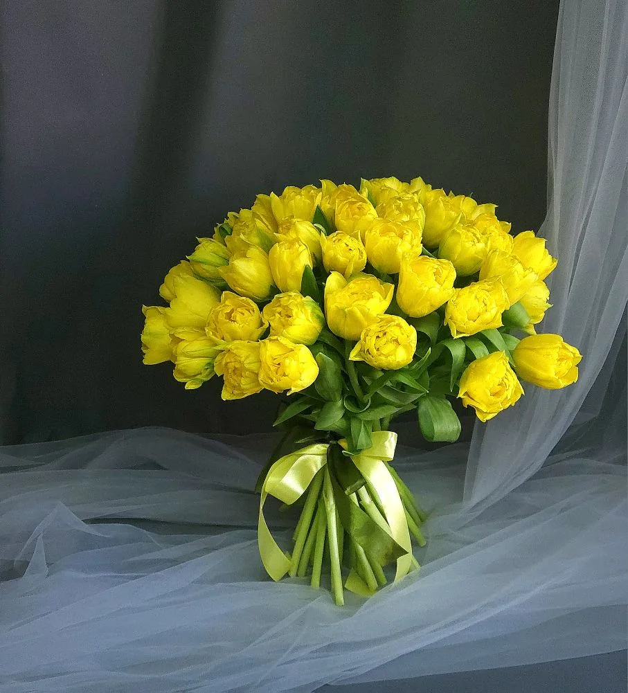 Разнообразие тюльпанов в этом году 😍